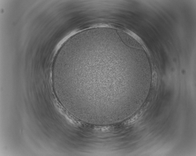 X0000054371051200508011215