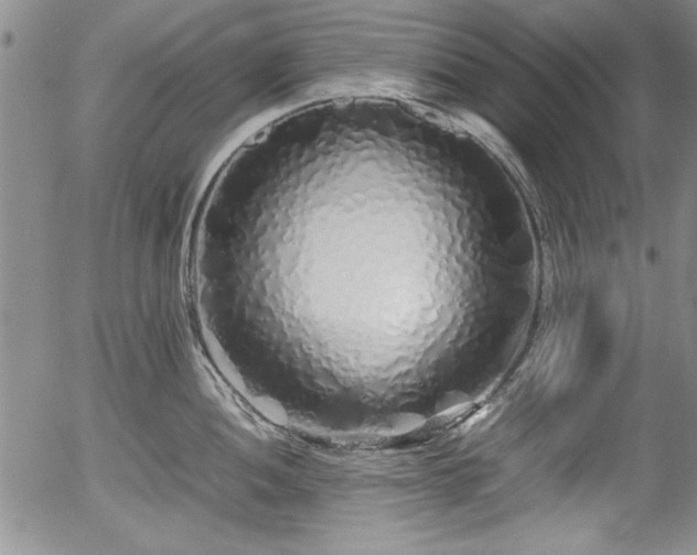 X0000054371052200508011215