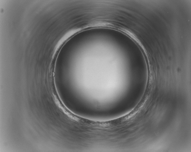 X0000054371053200508011215