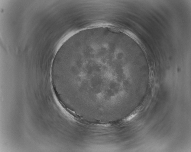 X0000054371055200508011215