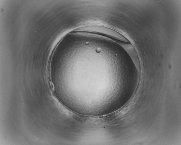 X0000054371056200508011215