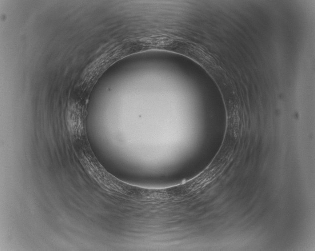 X0000054371058200508011214