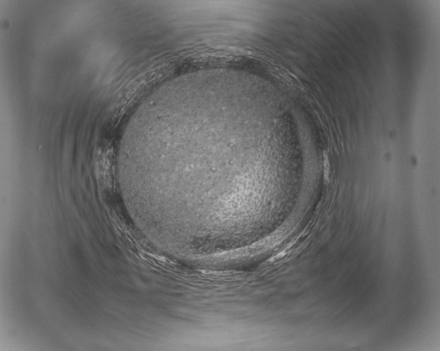 X0000054371059200508011214