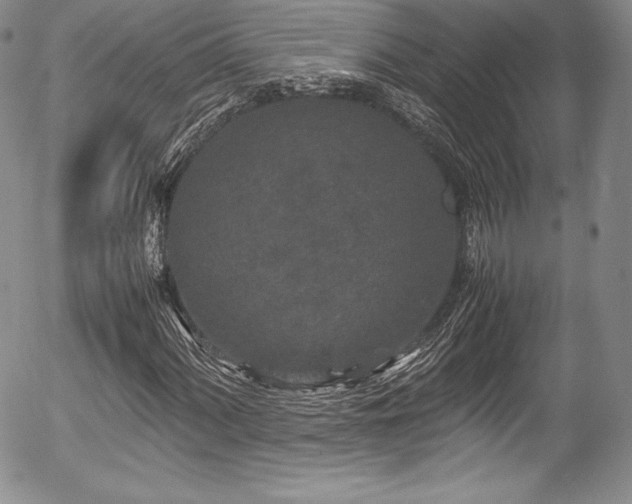 X0000054371060200508011214