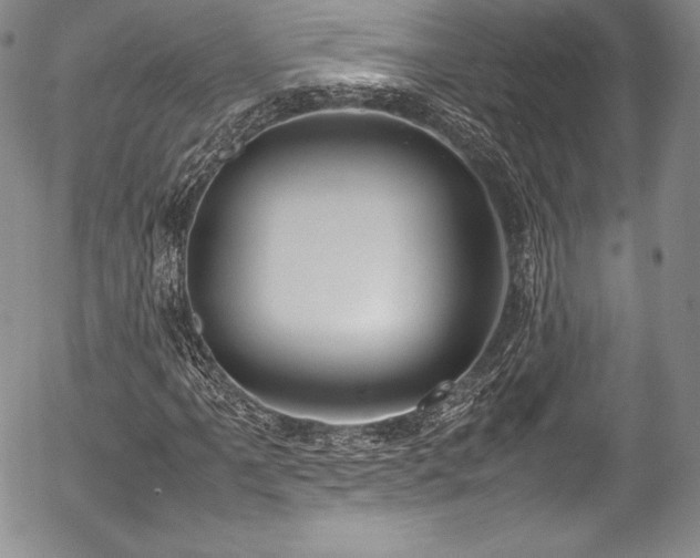 X0000054371061200508011214