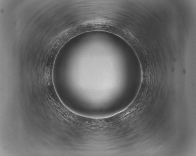 X0000054371062200508011214