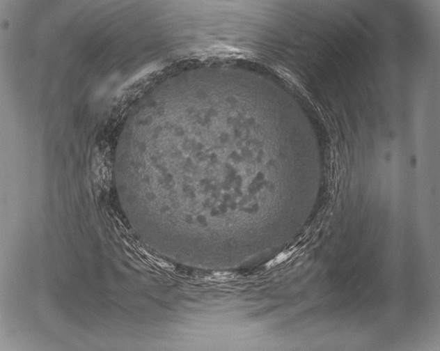 X0000054371063200508011214