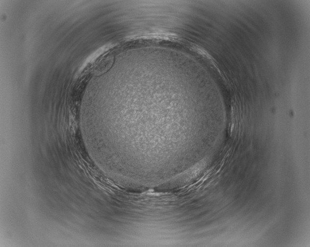 X0000054371064200508011214