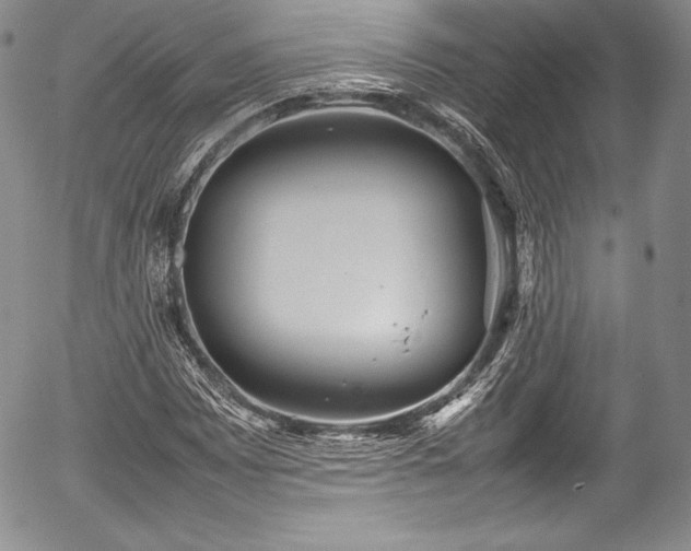 X0000054371065200508011214