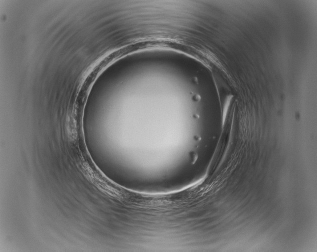 X0000054371068200508011214