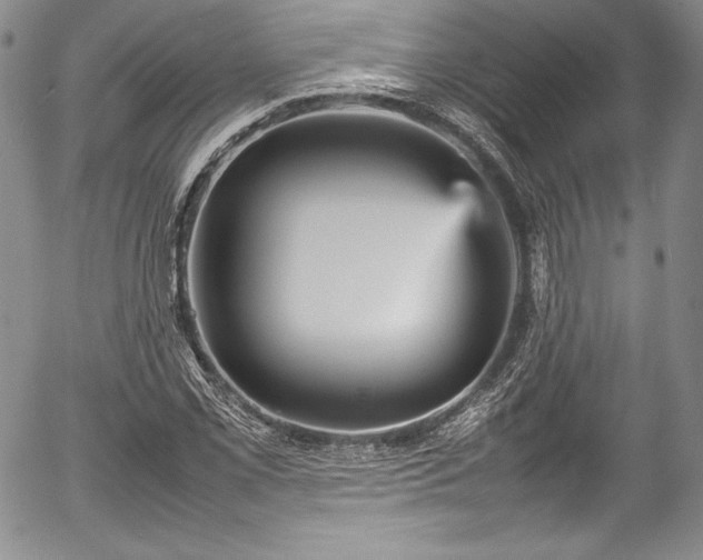 X0000054371069200508011214