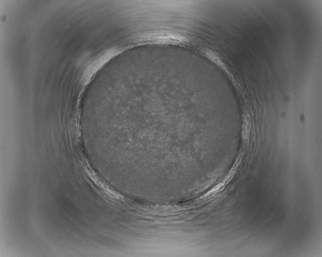 X0000054371071200508011214