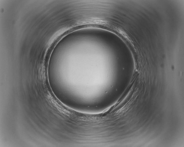 X0000054371072200508011214