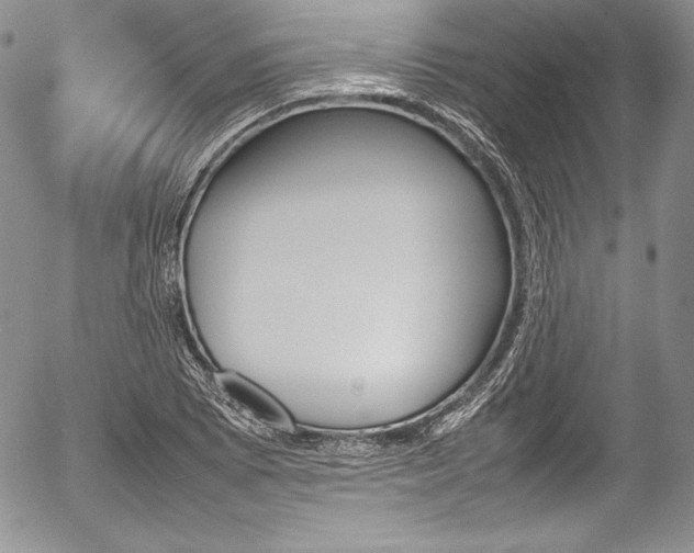 X0000054371073200508011214