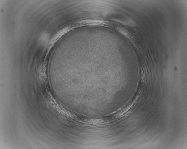 X0000054371074200508011214