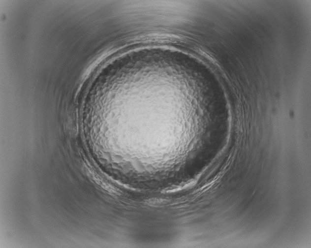 X0000054371075200508011214