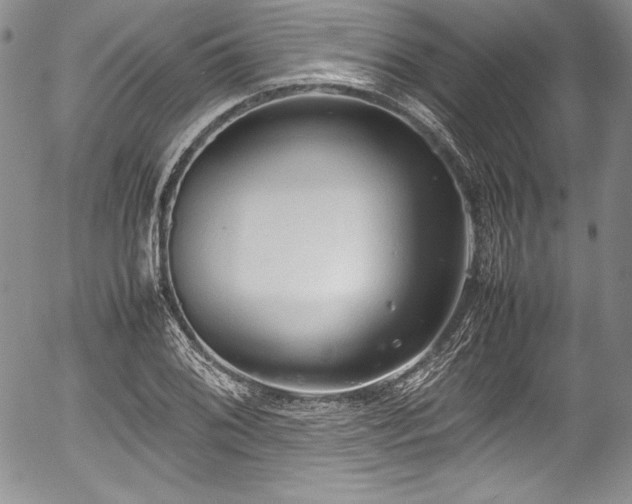 X0000054371076200508011214