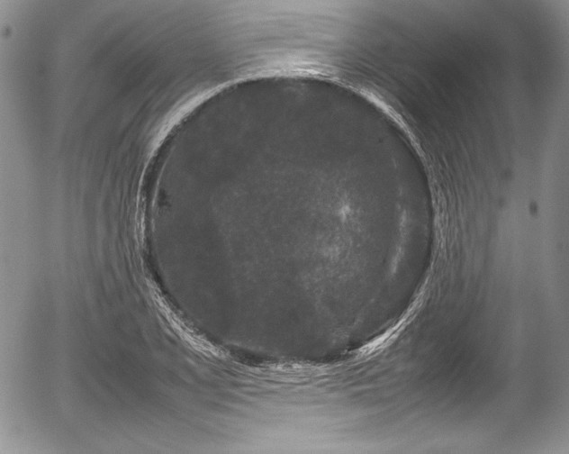 X0000054371077200508011214