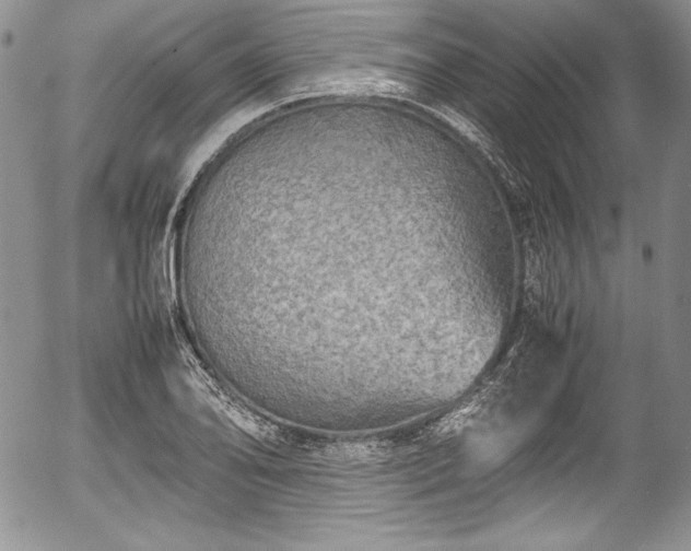 X0000054371078200508011214