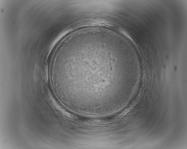 X0000054371079200508011214