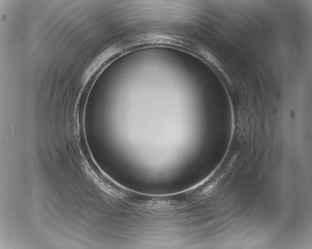 X0000054371082200508011214