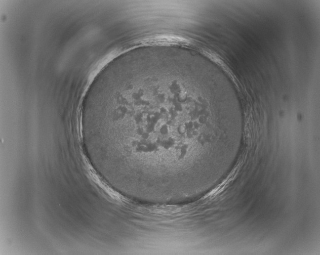 X0000054371083200508011214