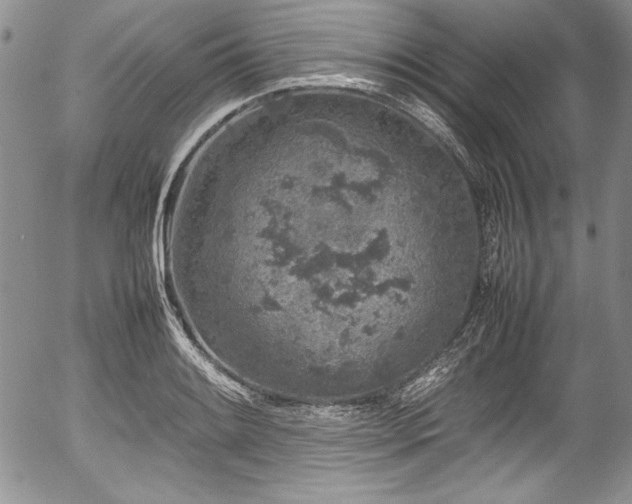 X0000054371084200508011214