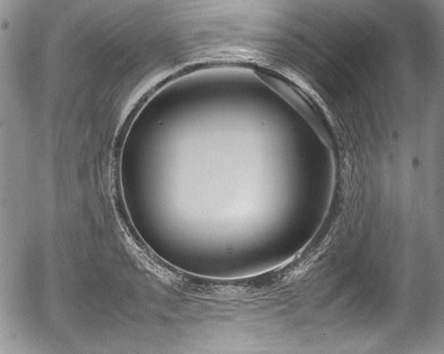 X0000054371085200508011214