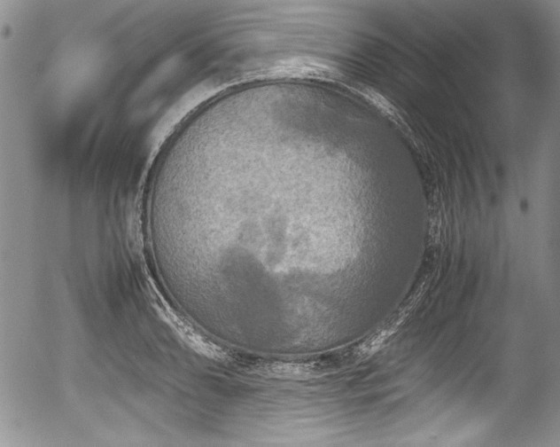 X0000054371086200508011214