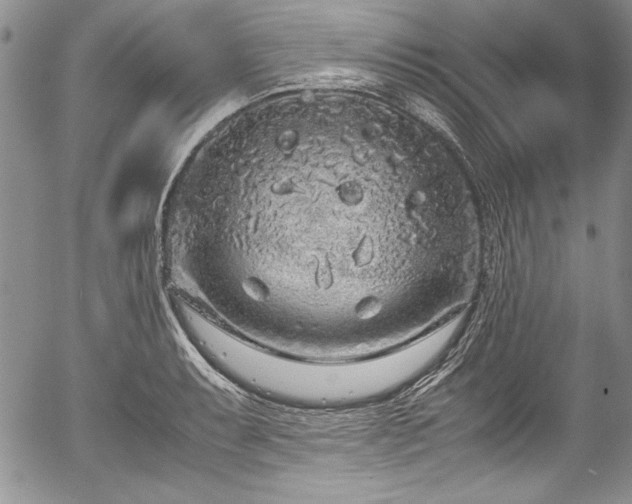 X0000054371087200508011214