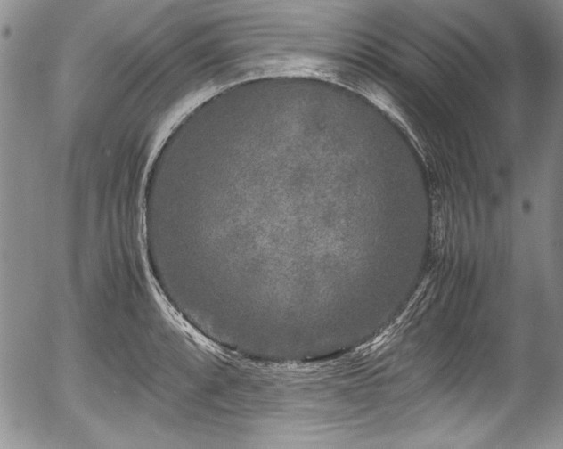 X0000054371088200508011214