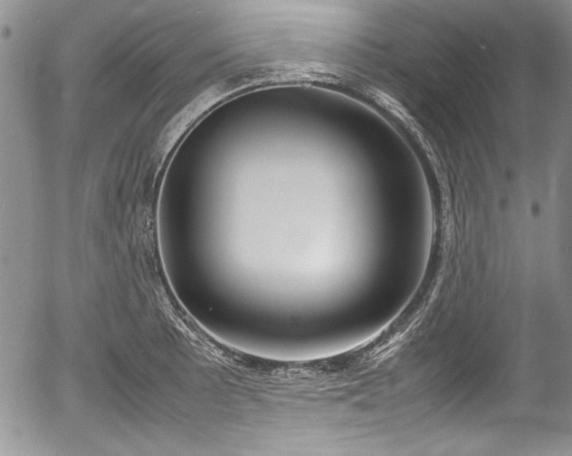 X0000054371089200508011214