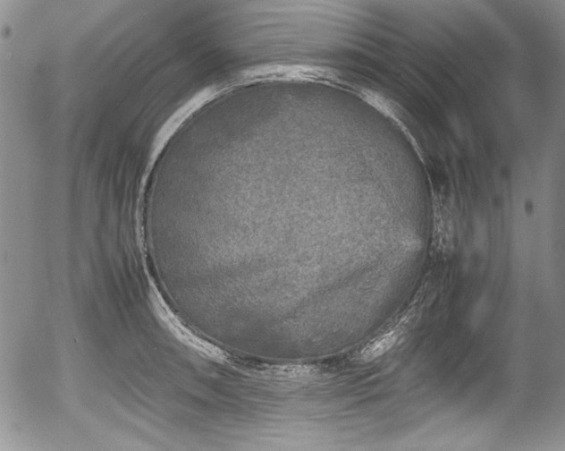 X0000054371090200508011214