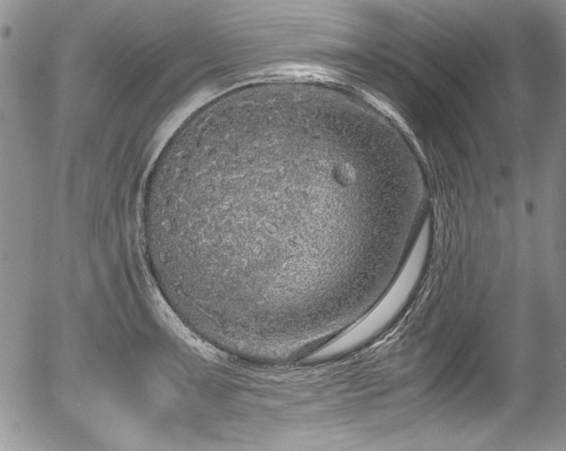 X0000054371091200508011214