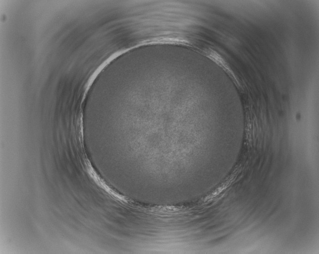 X0000054371092200508011214