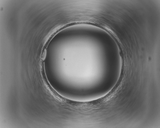 X0000054371093200508011214