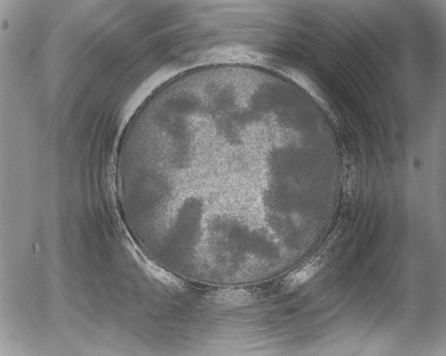 X0000054371094200508011214