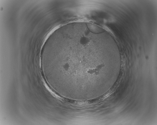 X0000054371095200508011214