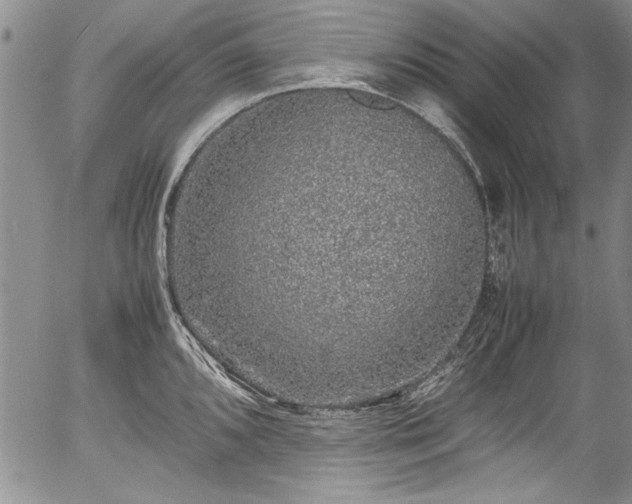 X0000054371096200508011214