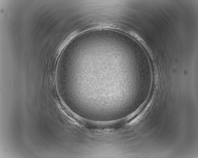 X0000054371097200508011214