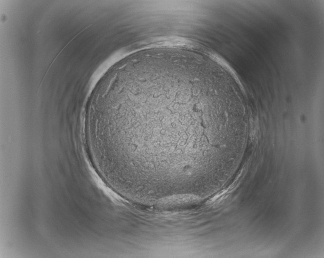 X0000054371099200508011214