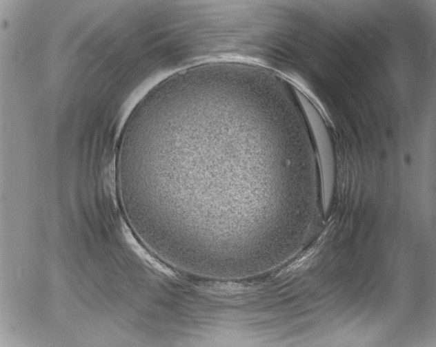 X0000054371100200508011214