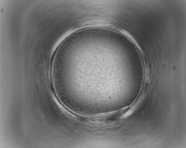 X0000054371101200508011214