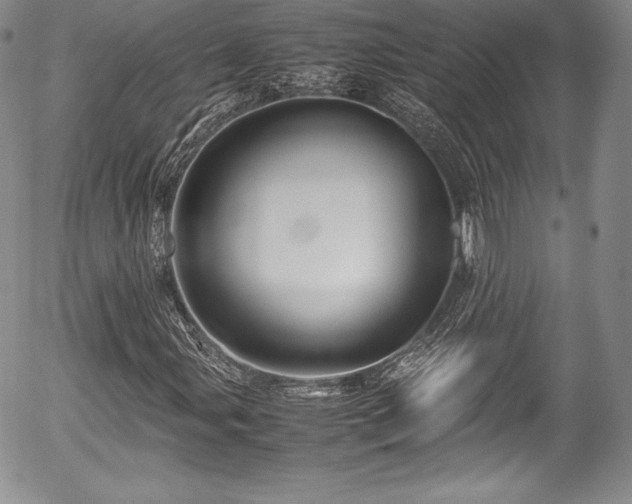 X0000054371107200508011213