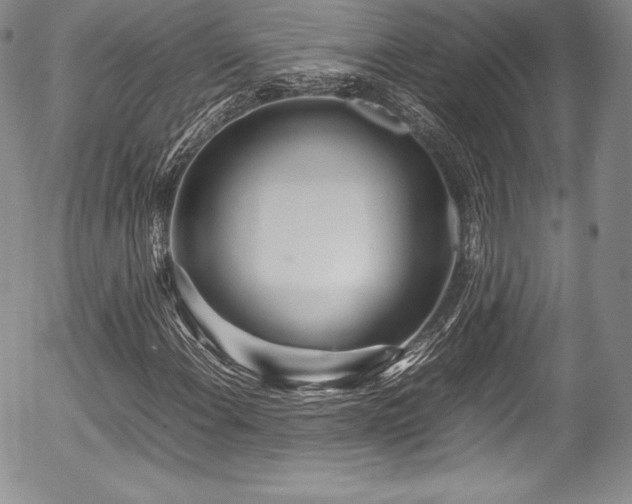 X0000054371108200508011213