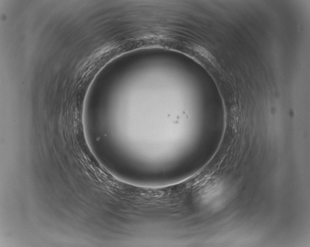 X0000054371111200508011213