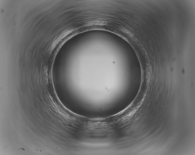 X0000054371113200508011213