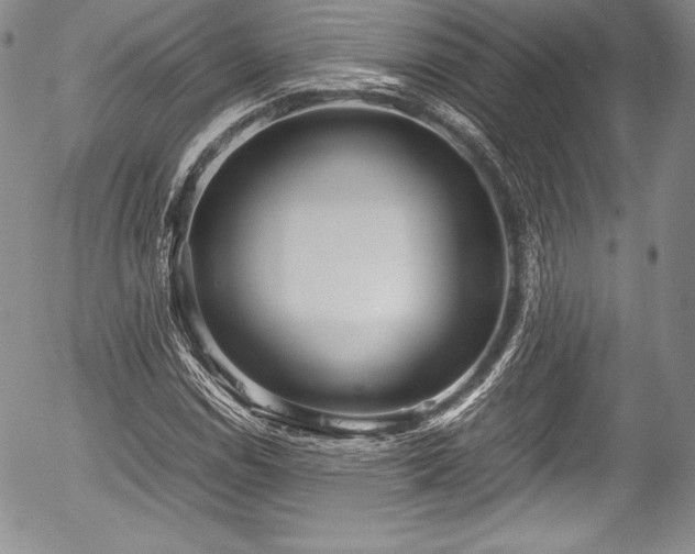 X0000054371114200508011213