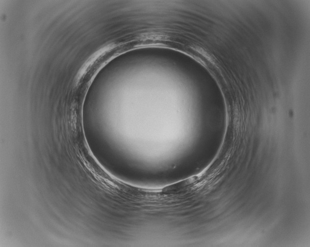 X0000054371115200508011213