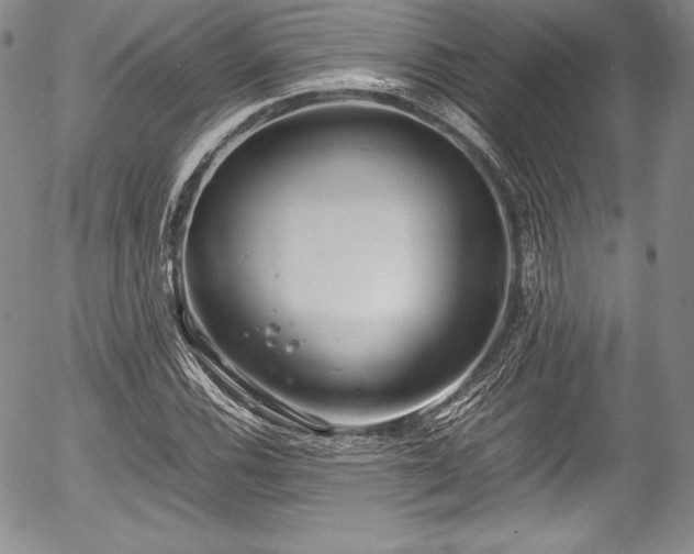 X0000054371116200508011213